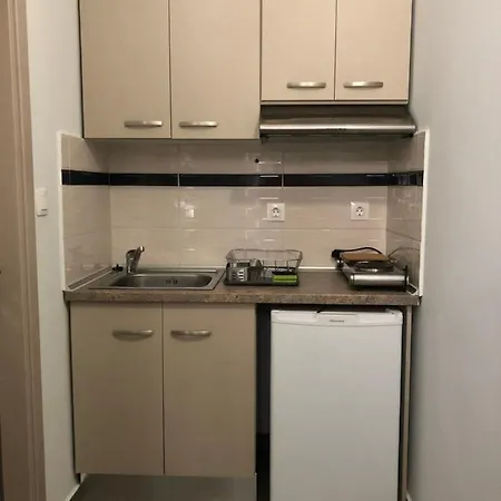 Vasilevi Lejlighedshotel 3*