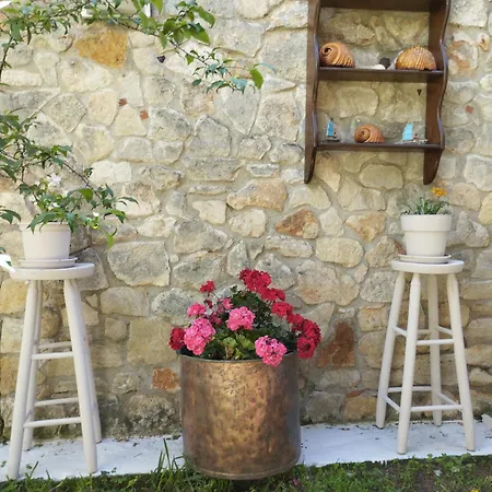 Vasilevi Lejlighedshotel